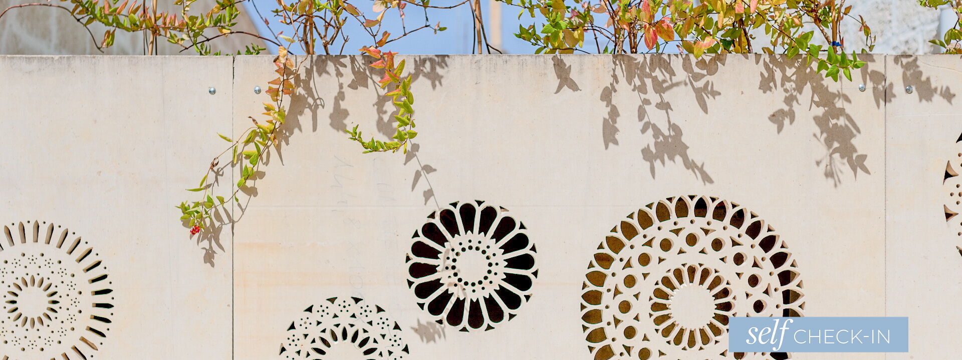 Vico Bianco Raro Rooms - La Terra Junior Suite Con Terrazza 5